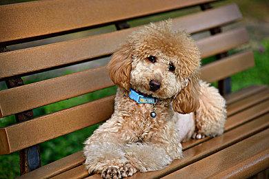 UE5后室游戏Subliminal《忆蚀》全球发行确认，实机演示宣传片公布